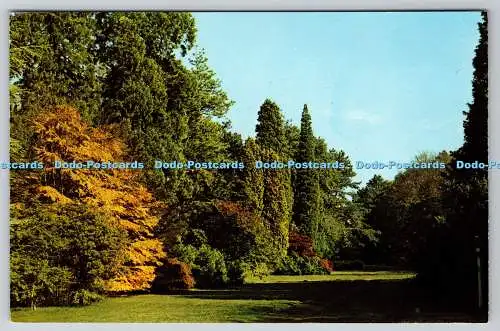 R741196 Westonbirt Arboretum Gesamtansicht des Mitchell Drive Jarrold Norwich Engl