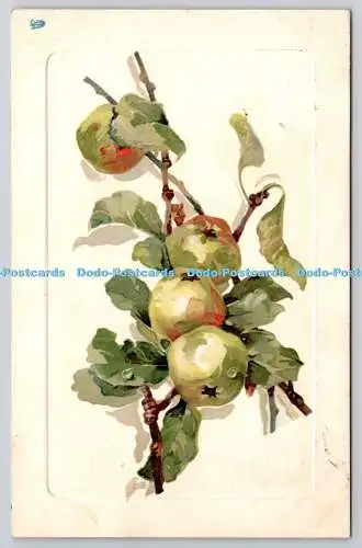 R742816 Apples Raphael Tuck and Sons Art Series No 6982 1907