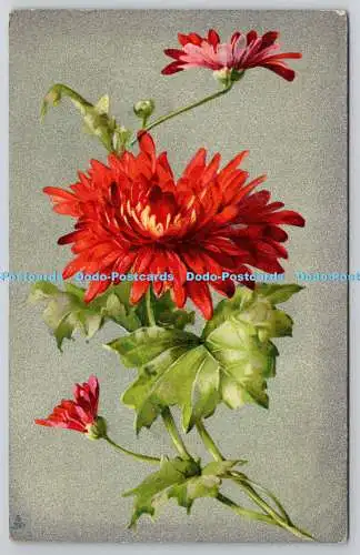 R742833 Red Flowers Raphael Tuck and Sons Art Series 6861