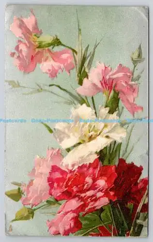 R742836 Carnations Raphael Tuck and Sons Art Series 6861 1905