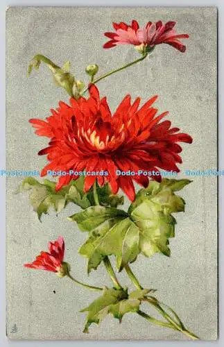 R742837 Red Flowers Raphael Tuck and Sons Art Series 6861 1905