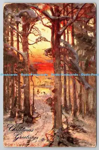 R742838 Weihnachtsgrüße Waldspaziergang Raphael Tuck und Söhne Oilette Postkarte