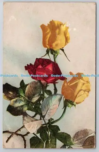 R742940 Red and Yellow Roses Raphael Tuck and Sons Art Series No 6867 1906