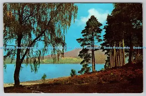 R741369 Perthshire Schottland Loch Rannoch N P O Belfast Dexter 1970