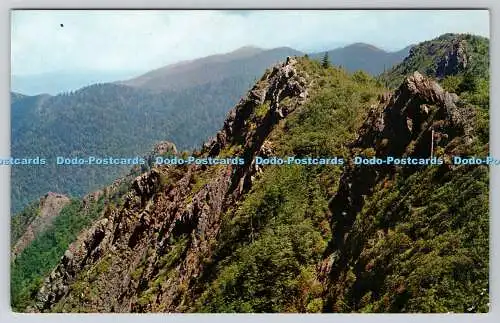 R741406 Die Sawteeth Range gesehen von Charlie Bunion auf dem Appalachian Trail Gre