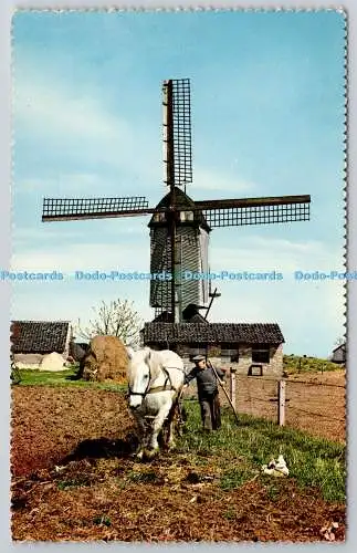 R743055 Horse Dutch Windmill PM Noordwijk Binnen 1961