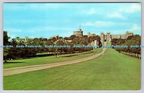 R741461 Windsor The Long Walk