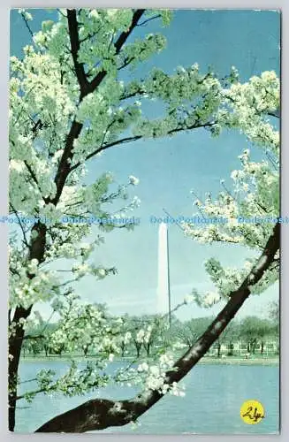 R743132 The Washington Monument L B Prince Co Virginia PM McLean 1962