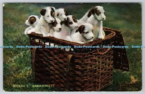 R742552 Where Breakfaster Pretty Puppies Raphael Tuck and Sons Photochrome Serie