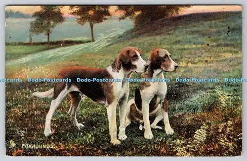 R742578 Foxhounds Studies of Dogs Raphael Tuck and Sons Photochrome Series 4403