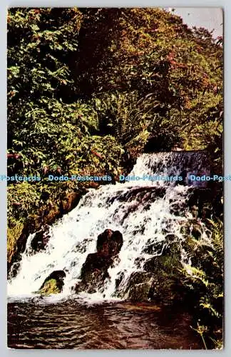 R743220 Rickford Waterfall Somerset village I Hardwick Plastchromr PM Bridgwater