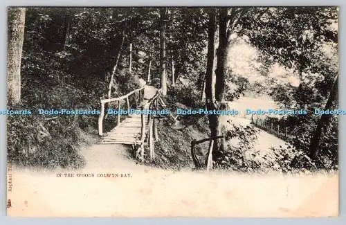 R742615 In the Woods Colwyn Bay Raphael Tuck and Sons 1906