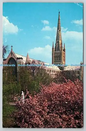 R743234 Norwich Cathedral Ernest Joyce A J Howard Plastichrome Norfolk