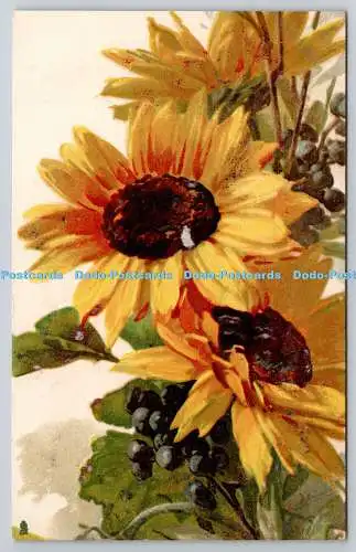 R742663 Sonnenblumen Raphael Tuck and Sons Art Series 6849 Klein