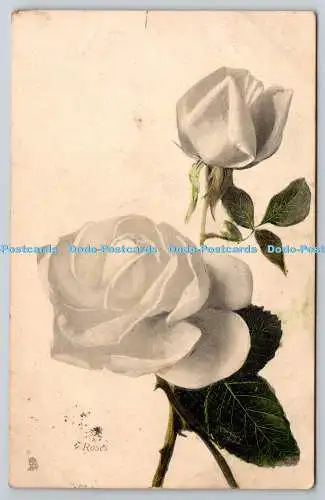 R742671 White Roses Raphael Tuck and Sons Flower Series No 6903