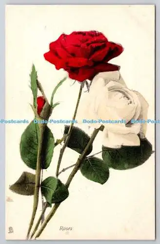 R742672 Weiße und rote Rosen Raphael Tuck and Sons Blume Postkarte 6903