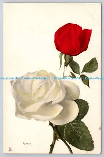 R742673 Weiße und rote Rosen Raphael Tuck and Sons Blume Postkarte 6903