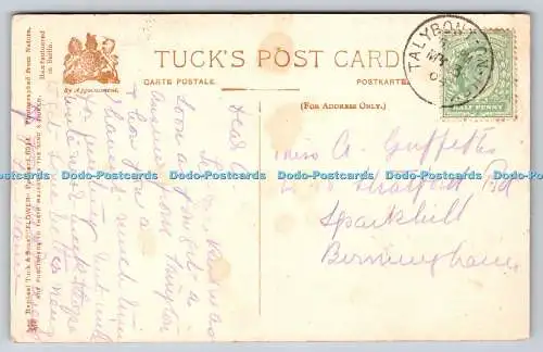 R742676 Nelken Raphael Tuck und Söhne Blume Postkarte 6914