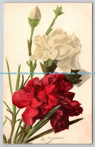 R742680 Carnations Raphael Tuck and Sons Flower Series No 6908