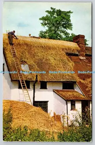 R743469 Britains Countryside Thatching at Wickhambrook Suffolk J Salmon Ltd Seve