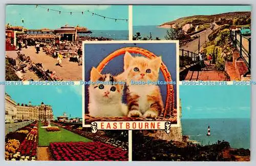 R738583 Eastbourne Katzen Kätzchen Bandstand und Pier Beachy Head Teppich Gärten V