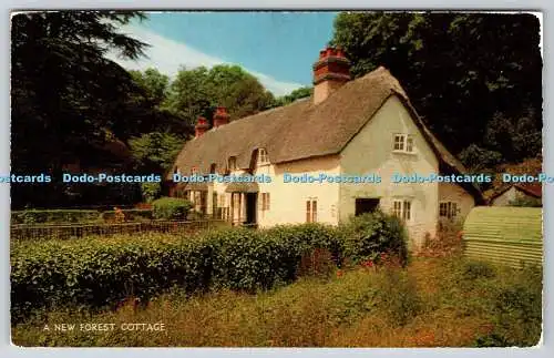 R744848 A New Forest Cottage J Salmon Ltd Cameracolour