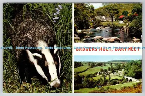 R744878 Dartmeet Badgers Holt Jarrold and Sons Ltd Cotman Color Series Multi View