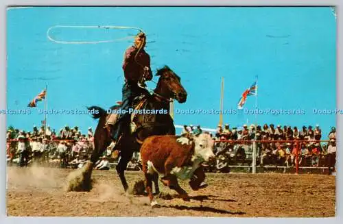 R738733 Calgary Stampede Calf Roping Card No C5 W J Gibbons A M P A Colour Limit