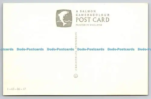 R738735 Hastings St Clements Caves J Salmon Cameracolour Postkarte England