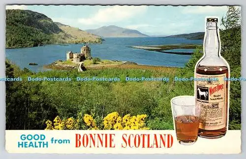 R738747 Good Health from Bonnie Scotland S 11 Scotty Series CoBLTD Bamforth Holm