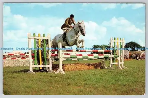 R744985 In the Show Ring J Salmon Ltd