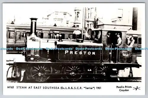 R746132 Steam at East Southsea Ex L B and S C R Terrier Pamlin Prints RP