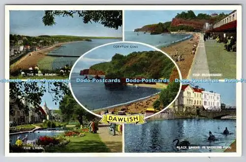 R744689 Dawlish The Lawn Black Swans in Yachting Pool The Promenade E T W Dennis