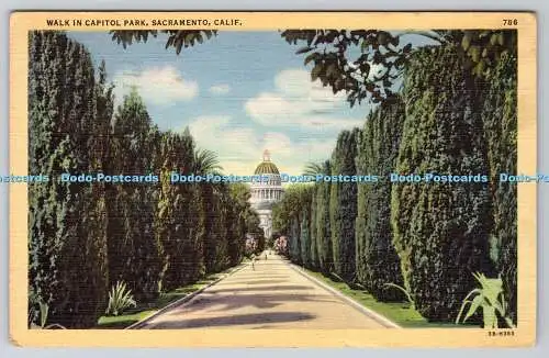 R746476 Sacramento Kalifornien Spaziergang im Capitol Park Stanley Bild Wunderland Kunst T