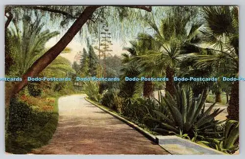 R746512 A Tropical Park Scene M Rieder Los Angeles Cal