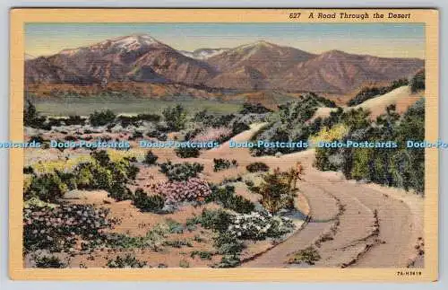 R746624 A Road Through the Desert Western Publishing and Novelty C T Art Colorto