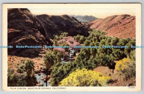 R746629 California Palm Canyon Near Palm Springs Willard Stephen H Willard C T P