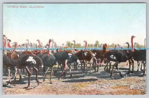 R746630 California Ostrich Farm Rosin Phila and New York