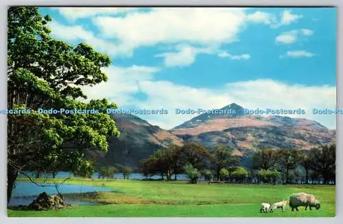 R743671 Ben Lomond von Inveruglas E T W Dennis Scarborough