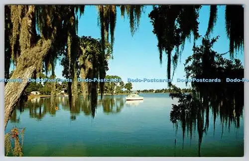 R743789 Lake Tarpon angrenzend an A L Anderson Park Florida State News Bureau Koppel