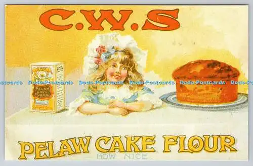 R743928 C W S Pelaw Cake Flour Beamish The North of England Freilichtmuseum Lerche