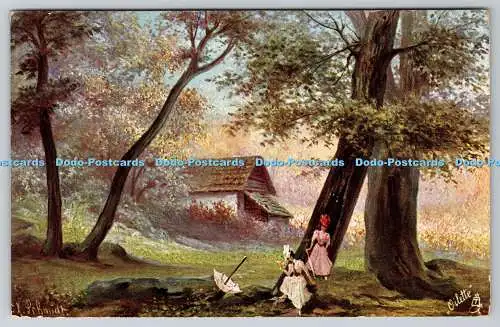 R746992 Ansichten Vom Schwarzwald Tuck Oilette Serie No 257