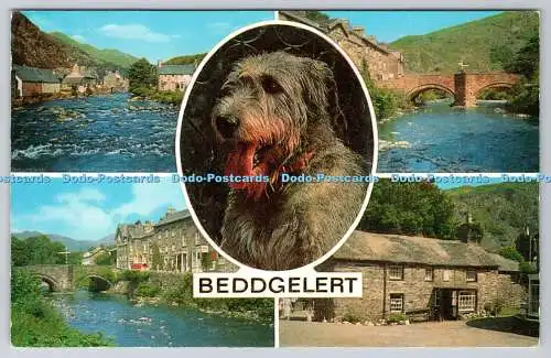 R744177 Beddgelert Dog J Salmon Ltd Sevenoaks Multi View