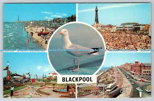 R744183 Blackpool South Promenade The Beach and Tower Gynn Gardens Multi View