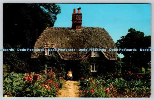 R744239 A New Forest Cottage Photo Precision Ltd Huntingdon Colourmaster Interna