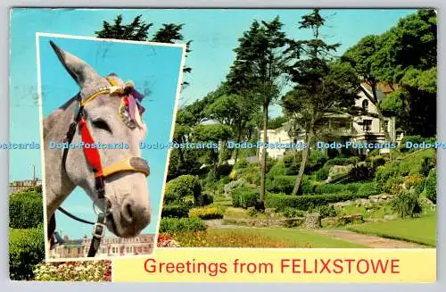 R744285 Felixstowe Cliff Gardens Seaside Donkey E T W Dennis Scarborough