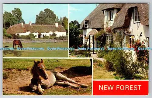 R744289 New Forest E T W Dennis Scarborough Multi View