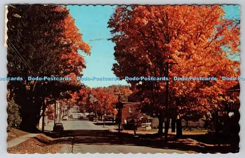 R744440 Autumn Shades on King St Millbrook Ontario Canada H R Oakman Peterboroug