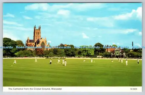 R745283 Worcester The Cathedral vom Cricket Ground E T W Dennis and Sons Lt