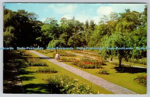 R745359 Southport Hesketh Park Rose Gardens E T W Dennis and Sons Ltd Photocolou